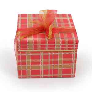 Gala box  (Small)   